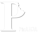 PirANJA - Texte und Konzeptionen mit Biss